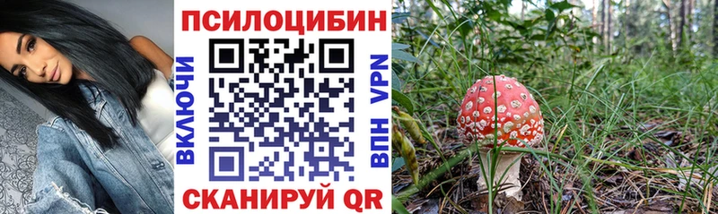 Галлюциногенные грибы Magic Shrooms  Купить  Куса 